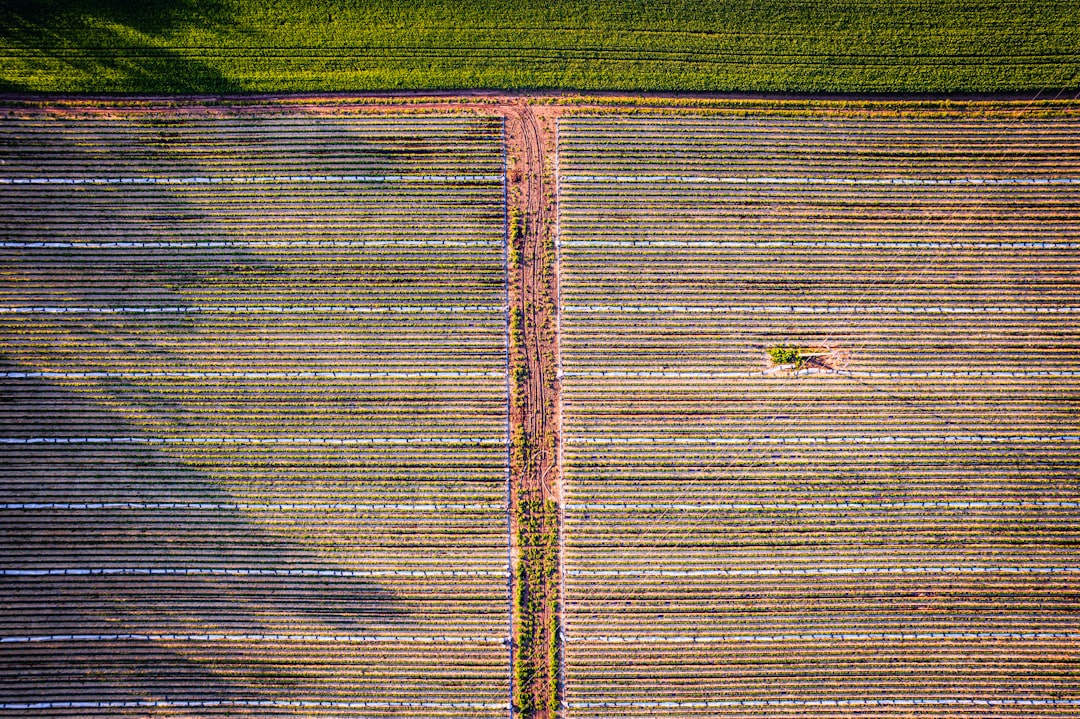 Blog 4 best air filter for agricultural area homes